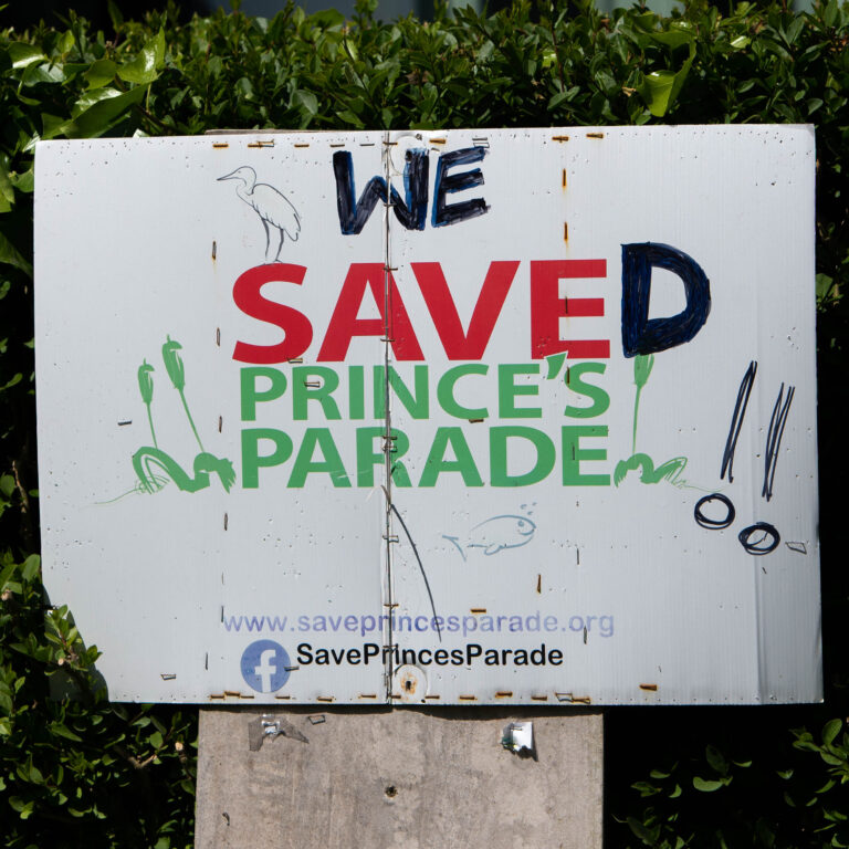 We-Saved-PP